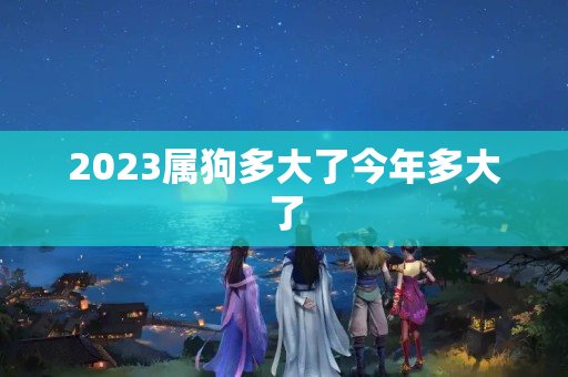 2023属狗多大了今年多大了