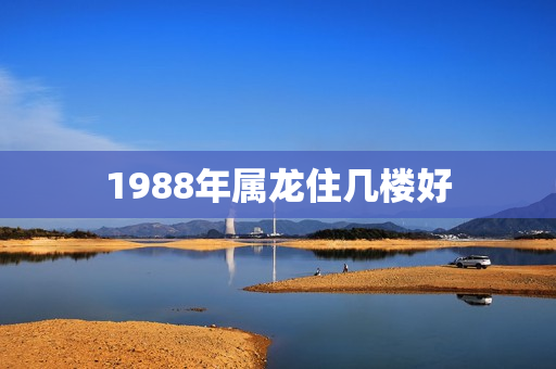 1988年属龙住几楼好