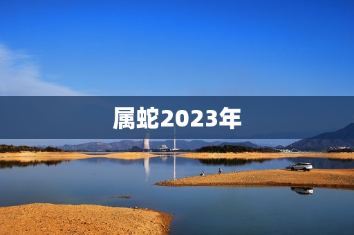 属蛇2023年