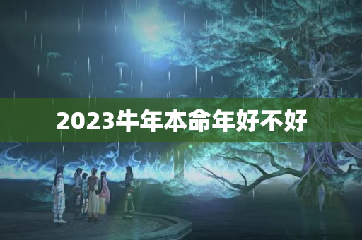 2023牛年本命年好不好