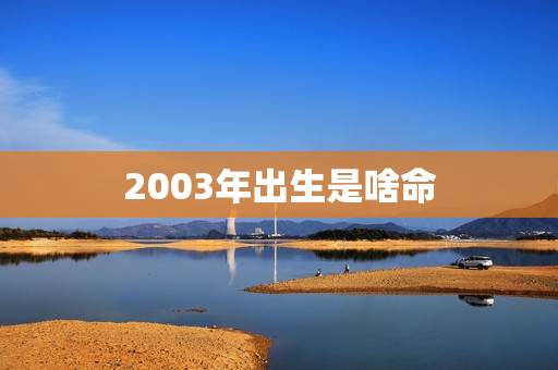 2003年出生是啥命