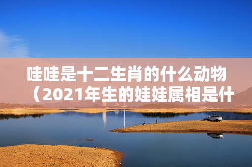 哇哇是十二生肖的什么动物（2021年生的娃娃属相是什么,预产期在2021年1月份,孩子属相是什么）