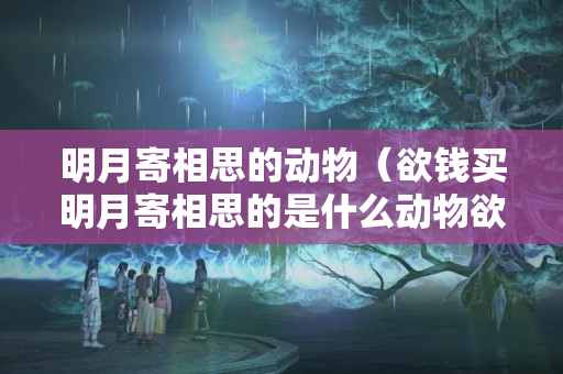 明月寄相思的动物（欲钱买明月寄相思的是什么动物欲钱买明月寄相思的是什么动物）