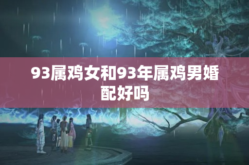 93属鸡女和93年属鸡男婚配好吗