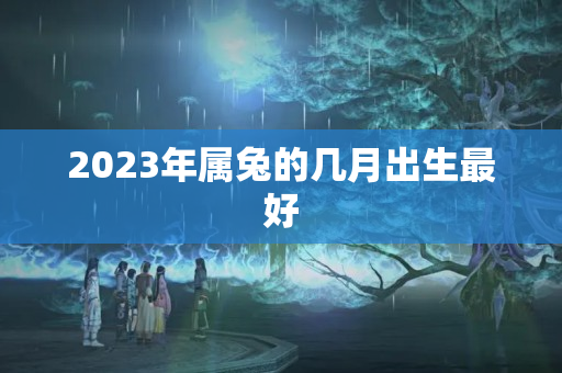 2023年属兔的几月出生最好