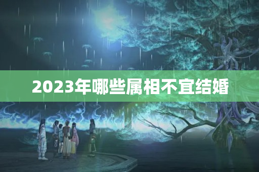 2023年哪些属相不宜结婚