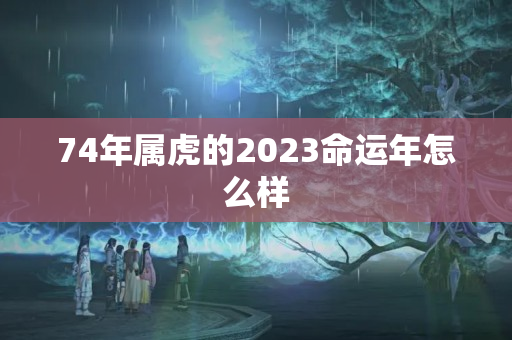 74年属虎的2023命运年怎么样