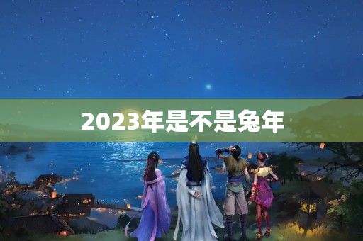 2023年是不是兔年