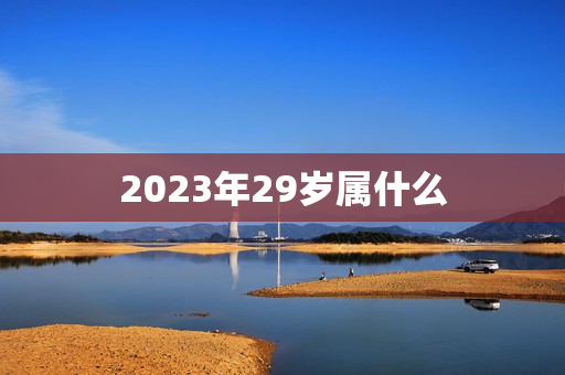 2023年29岁属什么