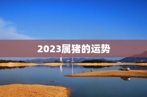 2023属猪的运势