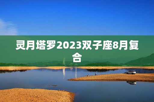 灵月塔罗2023双子座8月复合