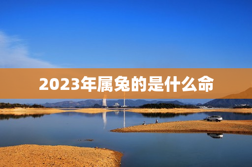 2023年属兔的是什么命