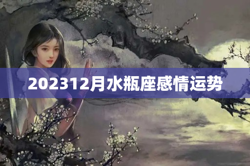 202312月水瓶座感情运势