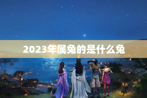 2023年属兔的是什么兔