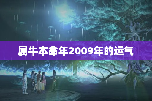 属牛本命年2009年的运气