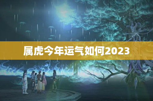 属虎今年运气如何2023