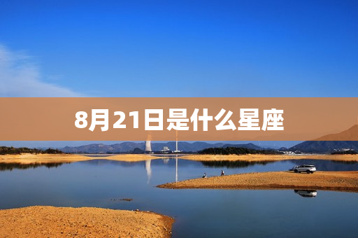 8月21日是什么星座