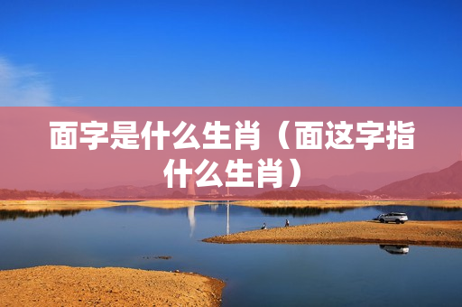 面字是什么生肖（面这字指什么生肖）