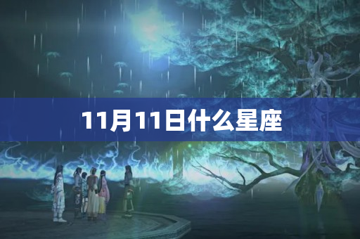 11月11日什么星座