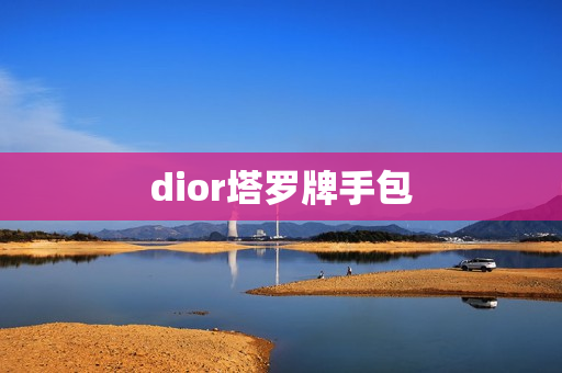 dior塔罗牌手包