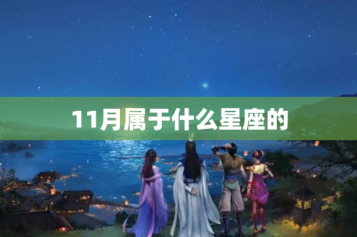 11月属于什么星座的