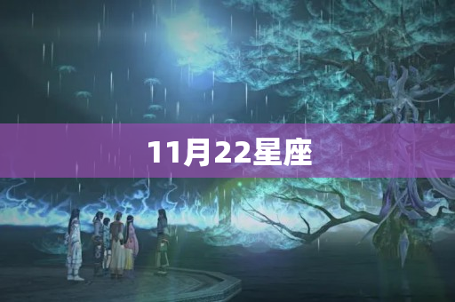 11月22星座