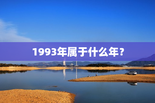 1993年属于什么年？