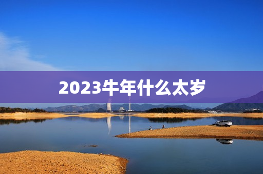 2023牛年什么太岁