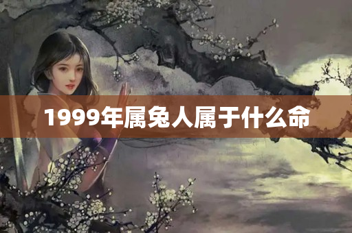 1999年属兔人属于什么命