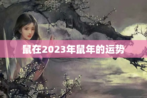 鼠在2023年鼠年的运势