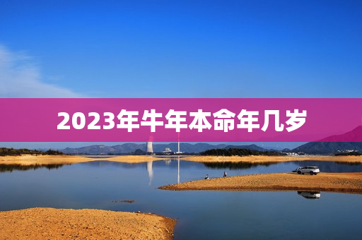 2023年牛年本命年几岁