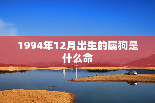 1994年12月出生的属狗是什么命