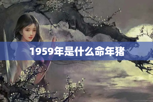 1959年是什么命年猪