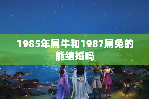 1985年属牛和1987属兔的能结婚吗