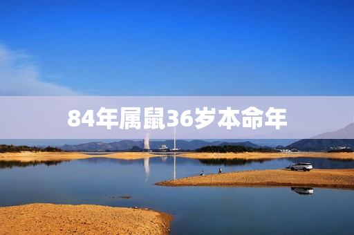 84年属鼠36岁本命年