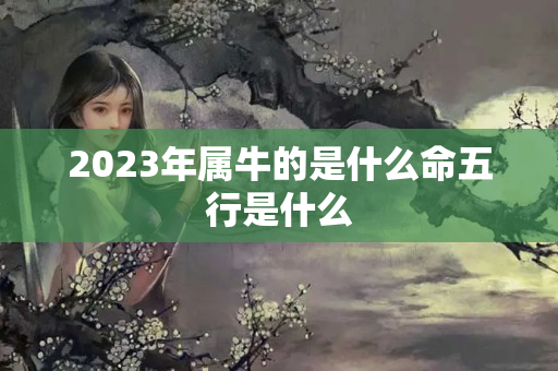 2023年属牛的是什么命五行是什么