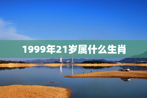 1999年21岁属什么生肖