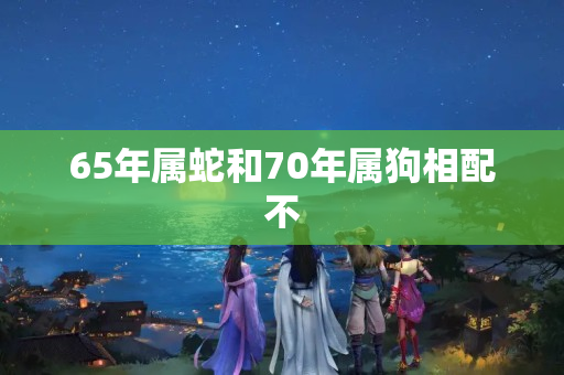 65年属蛇和70年属狗相配不