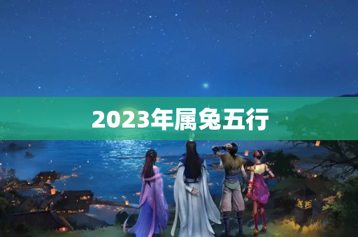 2023年属兔五行