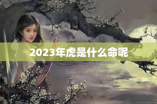 2023年虎是什么命呢