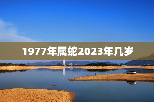 1977年属蛇2023年几岁