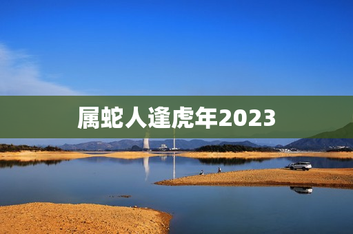 属蛇人逢虎年2023