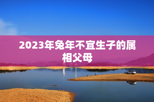 2023年兔年不宜生子的属相父母