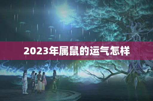 2023年属鼠的运气怎样