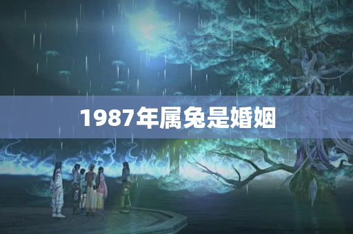 1987年属兔是婚姻