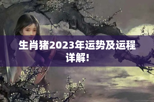 生肖猪2023年运势及运程详解!