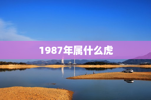 1987年属什么虎