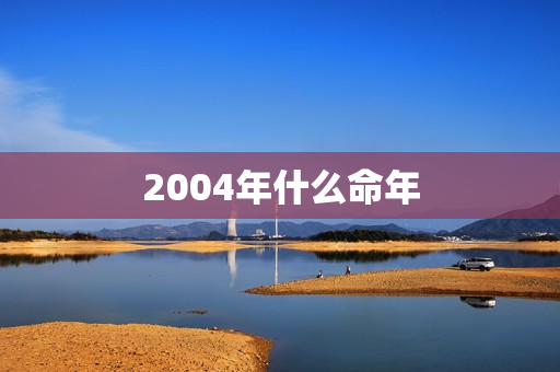 2004年什么命年