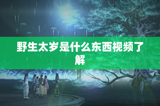 野生太岁是什么东西视频了解