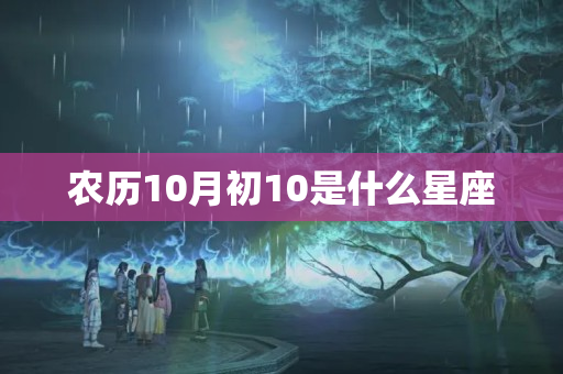 农历10月初10是什么星座